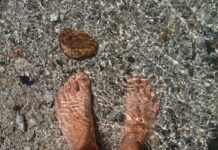 Czy z tytułem licencjata można uczyć w szkole?