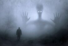 Co to jest Ghost commerce?