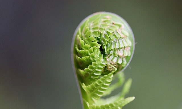 Czy warto się rozwijać zawodowo?